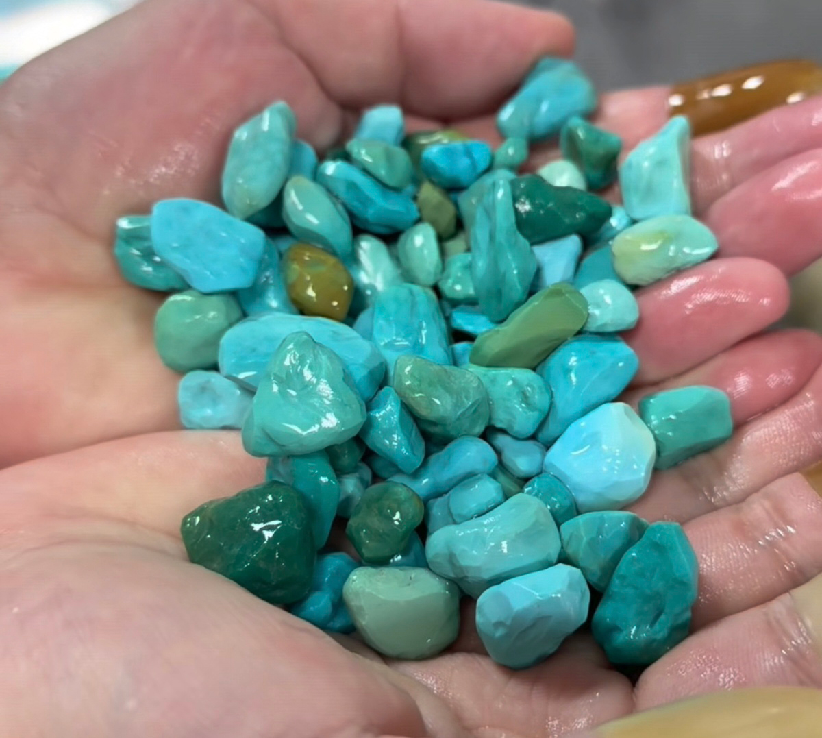 lvsongshimaoliaobapi