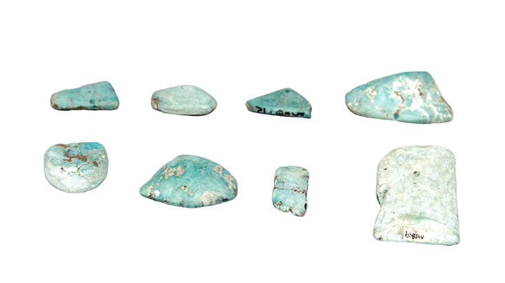 贾湖遗址.png